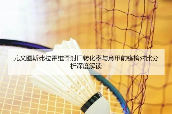 尤文图斯弗拉霍维奇射门转化率与意甲前锋榜对比分析深度解读
