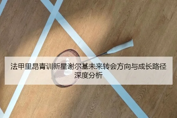 法甲里昂青训新星谢尔基未来转会方向与成长路径深度分析