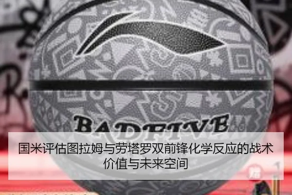 国米评估图拉姆与劳塔罗双前锋化学反应的战术价值与未来空间